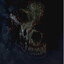 BloodiedWolf
