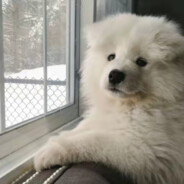 姚雨欣天下第一