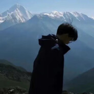 三九梅花映山雪