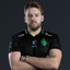 Falcons Niko