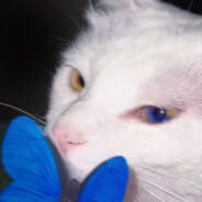 与姐姐暧昧三十三天