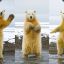 Dancing Bear