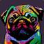Pug