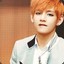 KpopKing