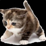 Balty Cat