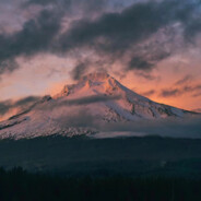 把你嘴扔了！！！