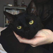 暴躁老兵爱拳击