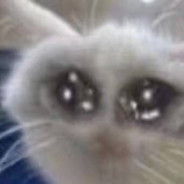 干拉然后看手机