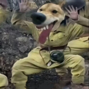 压力就送（被盗号版）