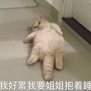 加微看美羊羊洗澡