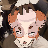 dogpod