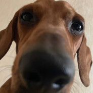 СиджейДoнкович - steam id 76561198926571796