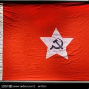 冠状病毒原载体