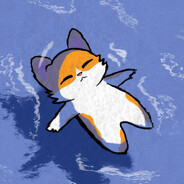 大电分点随机800+