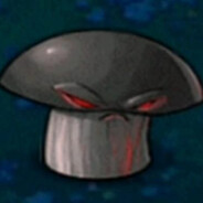 xzcfzsxdcfda avatar