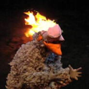 Primate Intelectual Vociferante