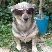 It appears this acc has the GAY