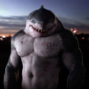 Mr.Shark