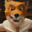 Mr. Fox