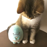啊鹿