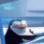 Penguin297340