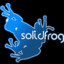 solidfrog87