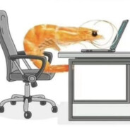 有人钢枪有人伏地我手拿利器摆头走你