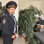 анальная трещина
