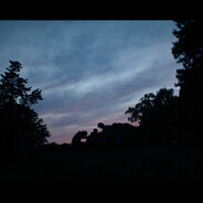 海豚王子帅屎你