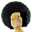 Duckfro