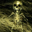 Avatar of player sesh