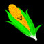 Corn Man