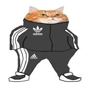 Дьявол носит Demix