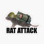 Rat attack