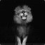 ASLAN (GER)