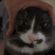 Thomas