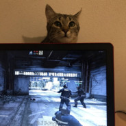 v!valdi - steam id 76561197962821541