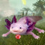 Chaosolotl