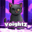 voightZ TTV/voightz