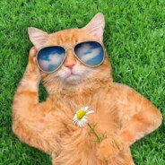 我应该是个好人吧