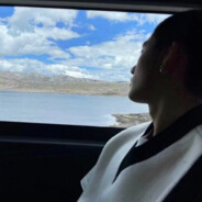 狗熊岭第一舞女翠花