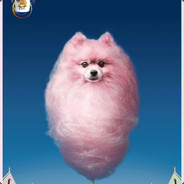 Сладкий Пёс