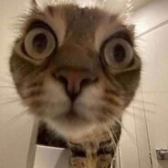 SwimmingInCranberries