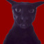 Dvigatel
