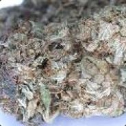 dabstracTokinfinitea - steam id 76561197962982063