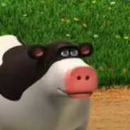 Moo