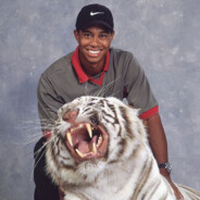 White Tiger Woods