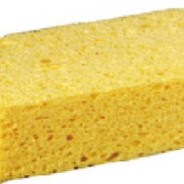 an ordinary sponge