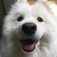 Pulsatiion - steam id 76561198123676922