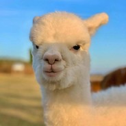 别骂了、只有这么菜了